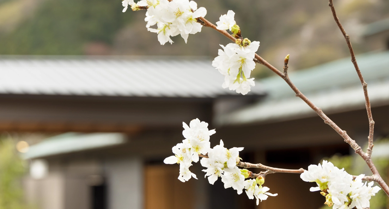 箱根の歴史と共に歩む